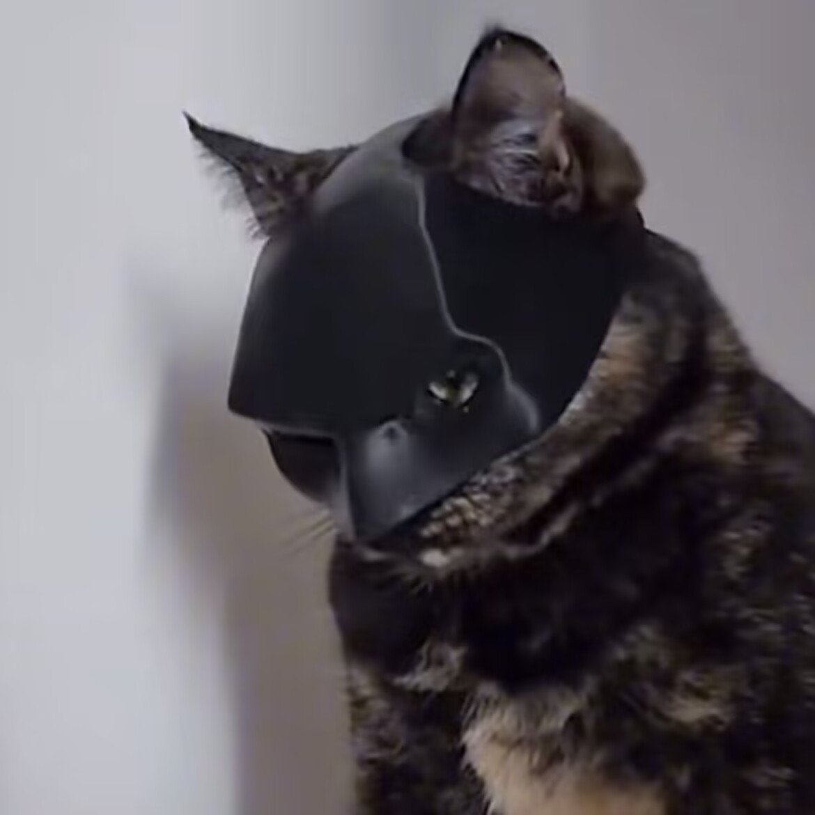 Catman Black Mask